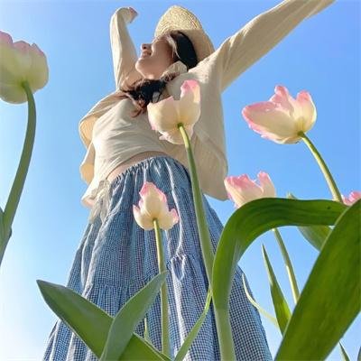 播种的旅人 ～农之茶～ 海报