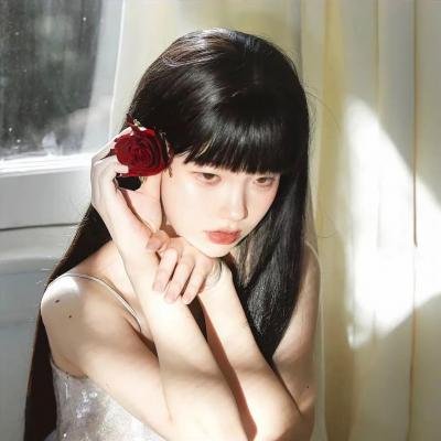 朕的刺客女友 海报